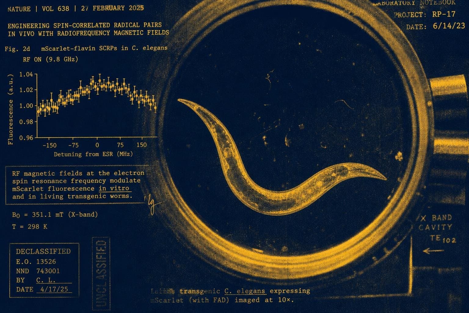 Hero image for "The Radical Pair Mechanism Is Real. Whether It Explains Human EMF Sensitivity Is a Different Question."