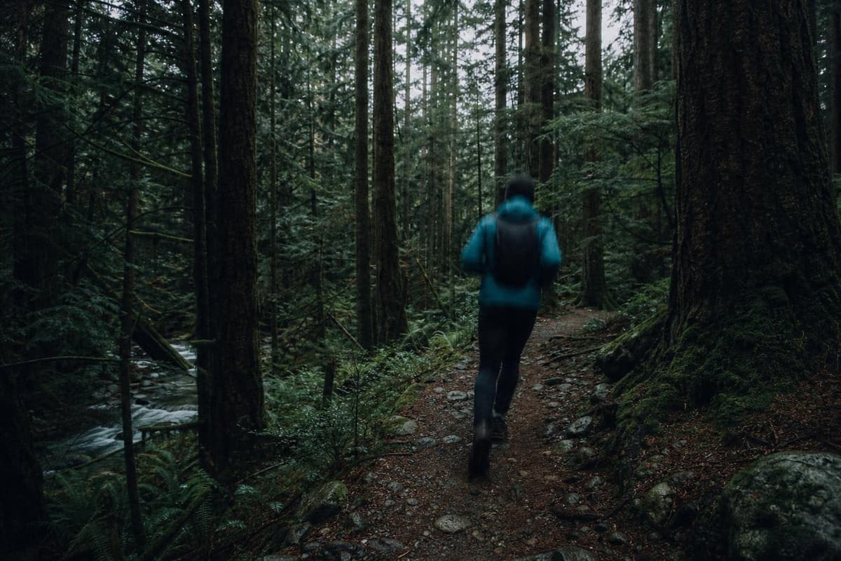 Hero image for "The Waterfalls Are Free. Getting There Is the Whole Point."