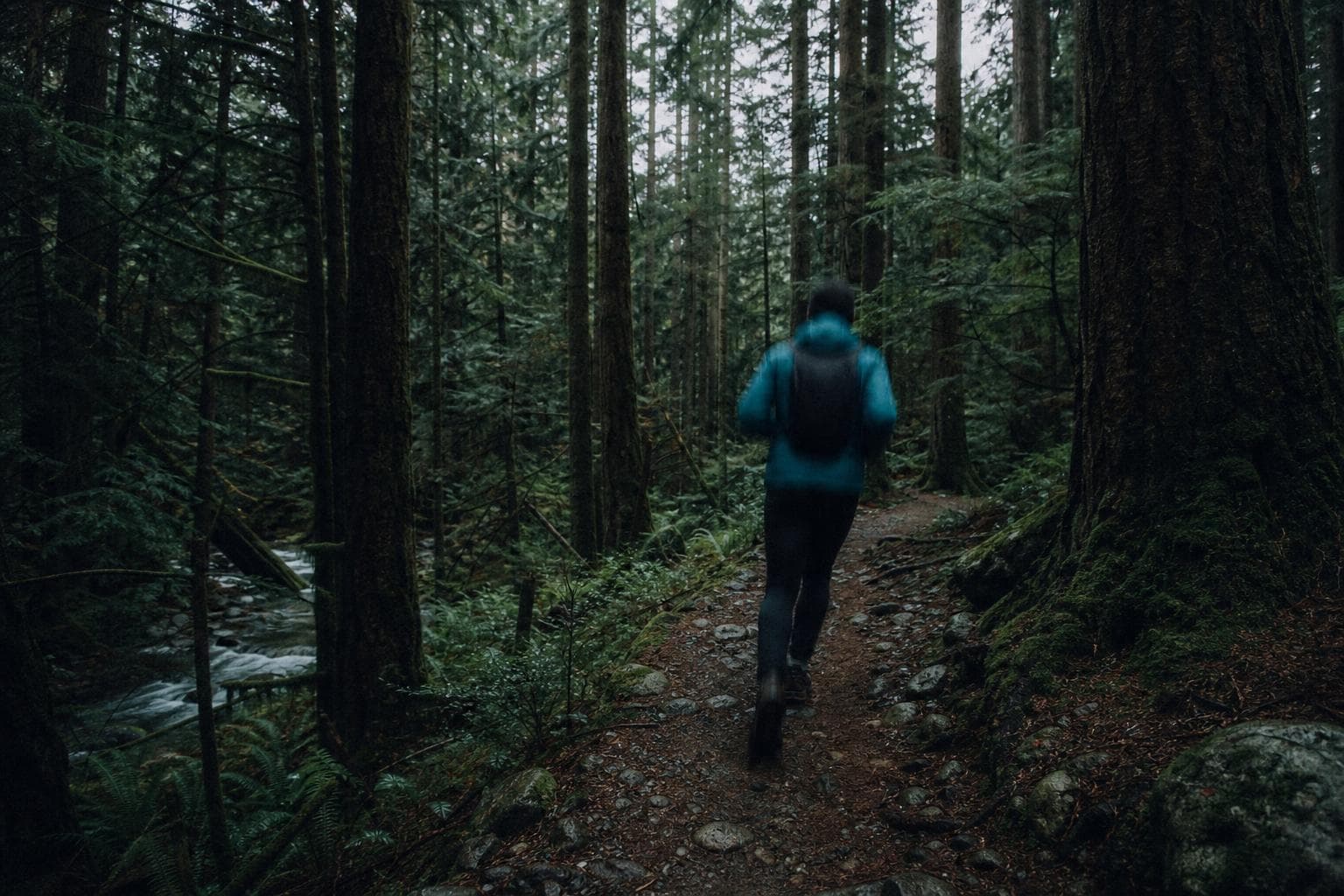 Hero image for "The Waterfalls Are Free. Getting There Is the Whole Point."