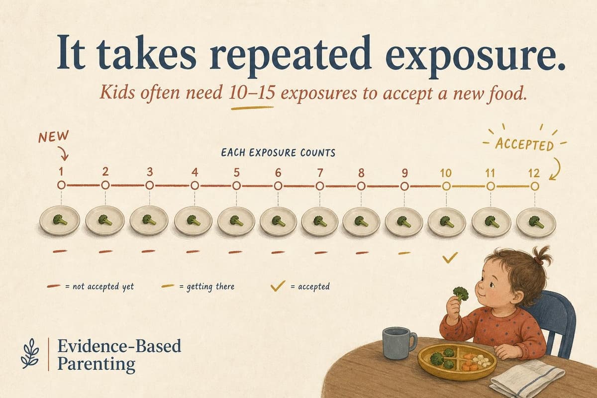 Hero image for "Most Toddler Picky Eating Is a Modern Invention. The Interventions That Work Treat It That Way."