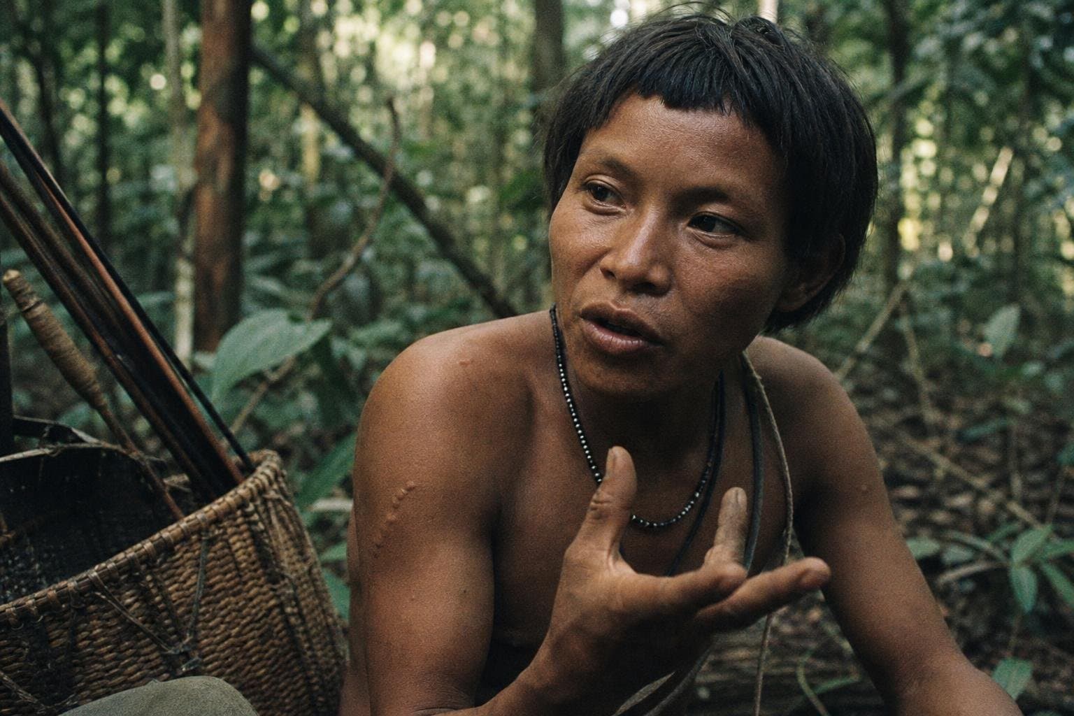 Hero image for "Pirahã Has No Word for "Yesterday" — and That's the Least Interesting Thing About It"